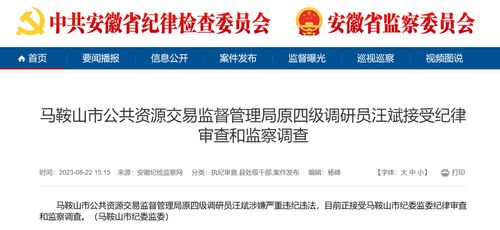 马鞍山市公共资源交易监督管理局原四级调研员汪斌接受审查调查
