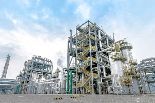 开局 2025 兖矿能源 深挖内潜 苦练内功 厚植高质量发展底蕴