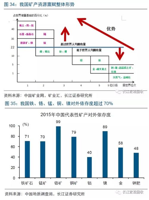 进口博览会,我们可以关注什么