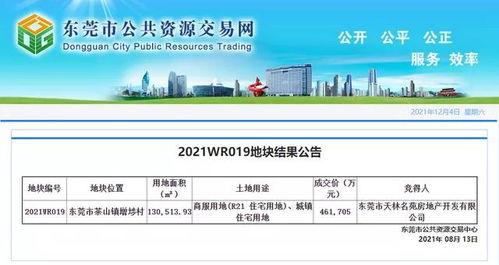 一块地卖了 46亿 东莞这条村瞬间变 土豪村
