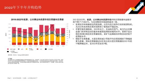 2022年回顾及2023年展望 能源 公共事业及矿产 
