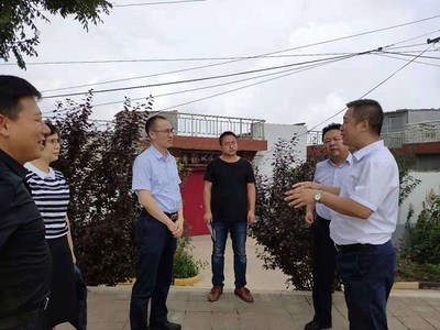 市纪委驻市资源规划局纪检组组长刘海林带领第二督导组莅临临潼区开展易地扶贫搬迁问题整改专项督导检查