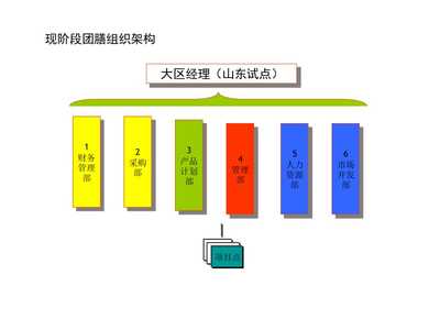 腰花团膳发展战略及现阶段整合实施方案