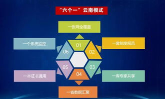 云南省公共资源交易实现新跨越：首创'一网三平台、六个一'模式